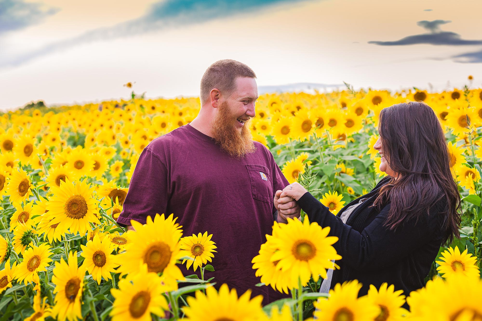 Colby Farm Sunflowers Portrait Photographer  | Stephen Grant Photography