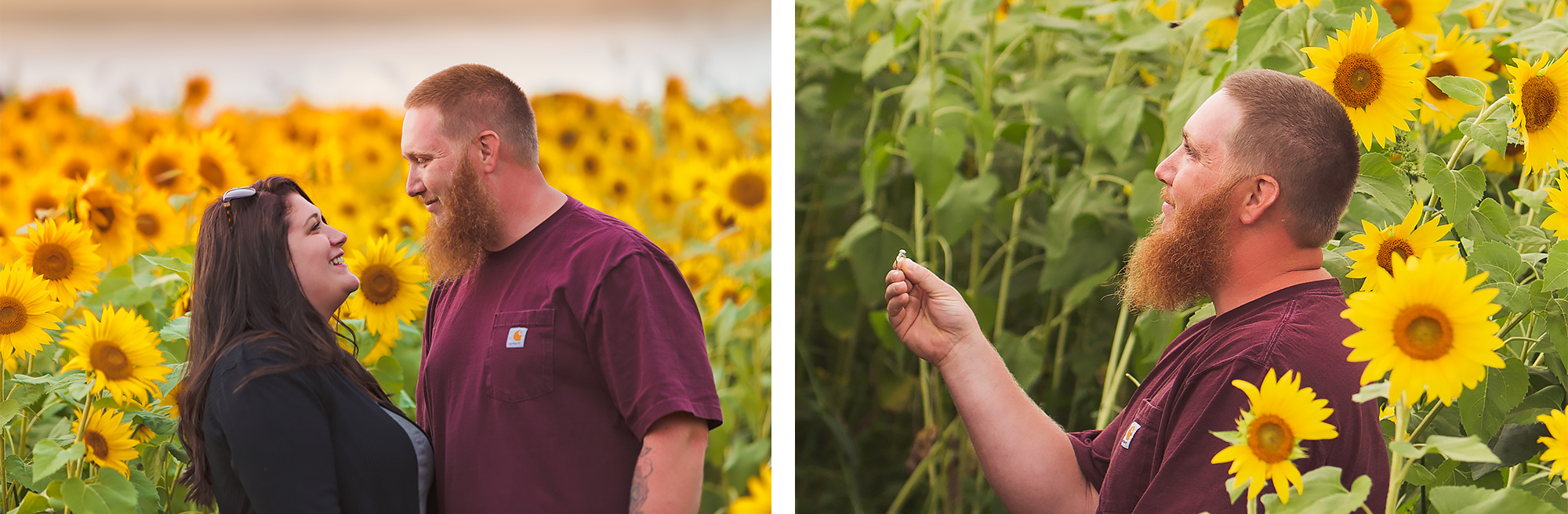 Colby Farm Sunflower Engagement | Stephen Grant Photography