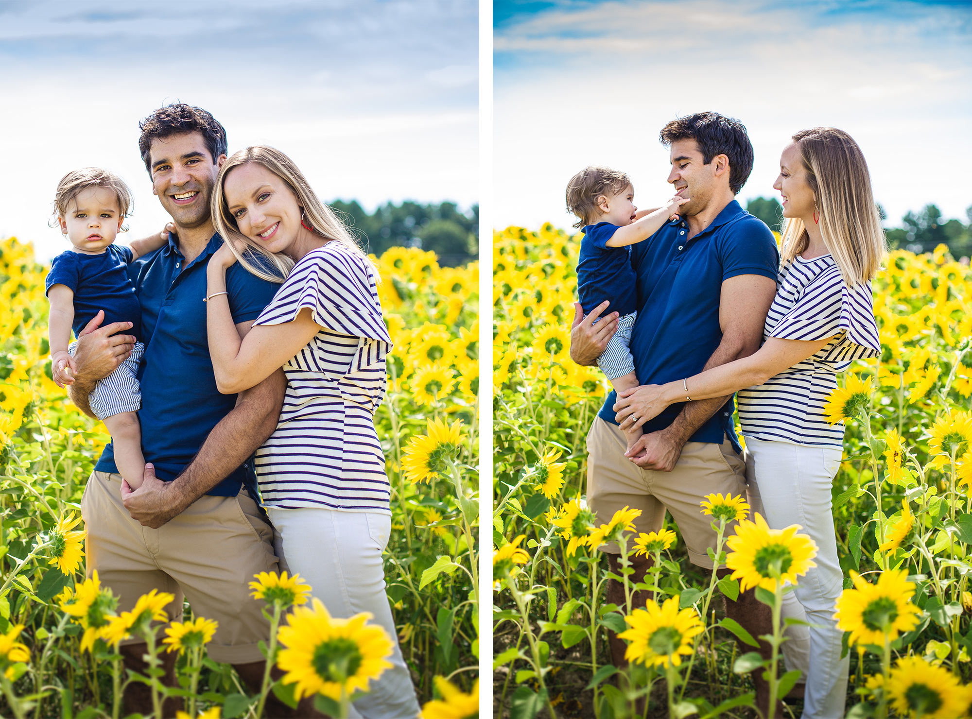 Colby Farm Sunflower Family Portraits | Stephen Grant Photography