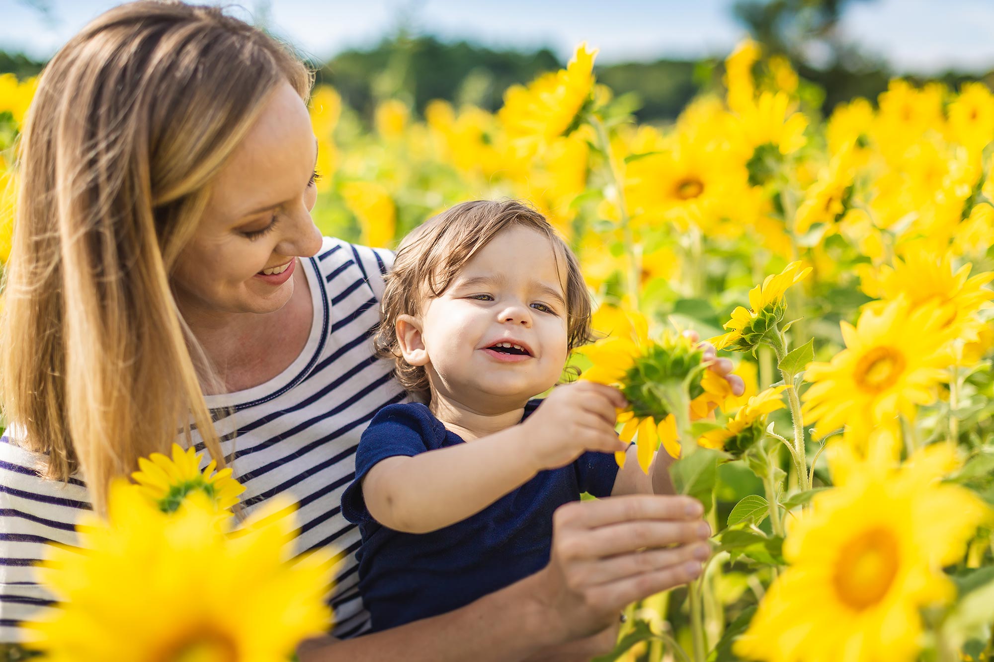 Colby Farm Sunflower Family Portraits | Stephen Grant Photography