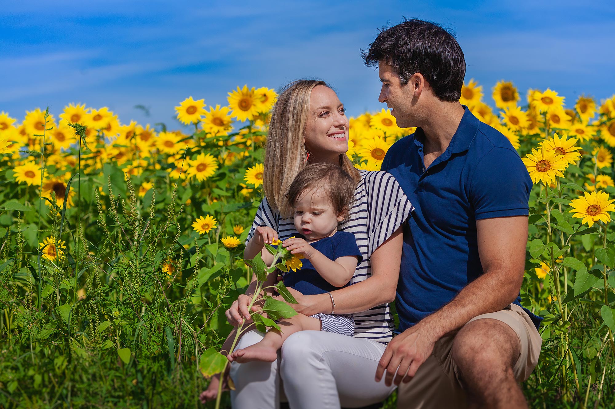 Colby Farm Sunflower Family Portraits | Stephen Grant Photography