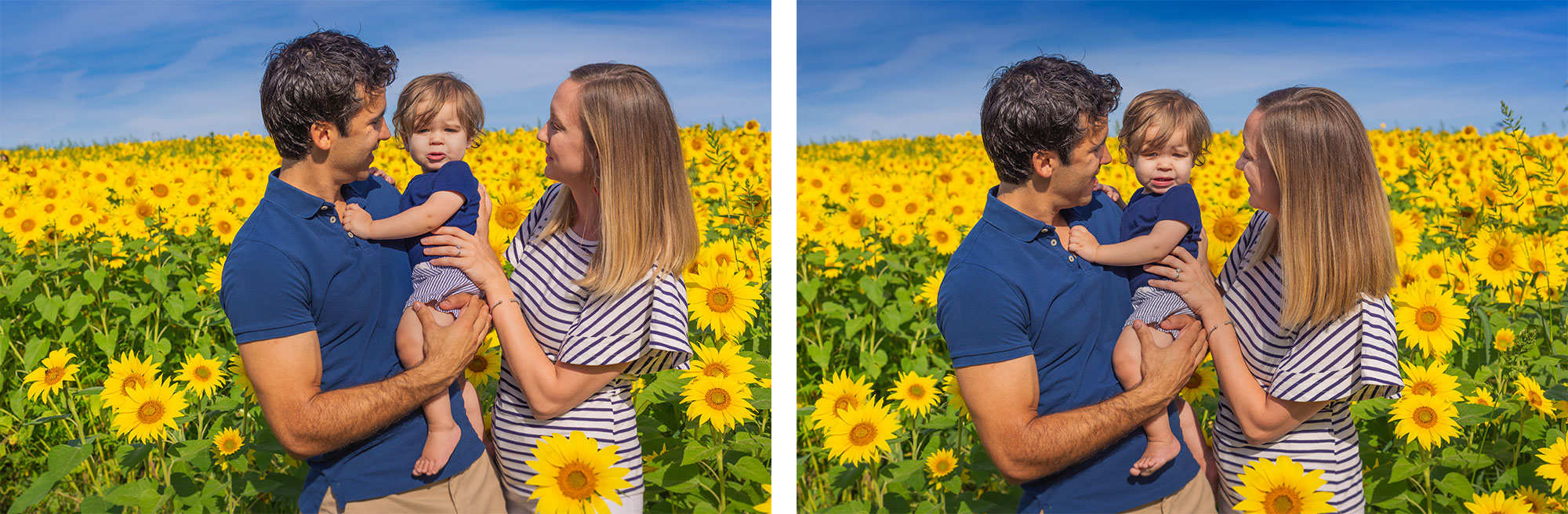 colby-farm-sunflowers-family-portraits-stephen-grant-photography-010.jpg