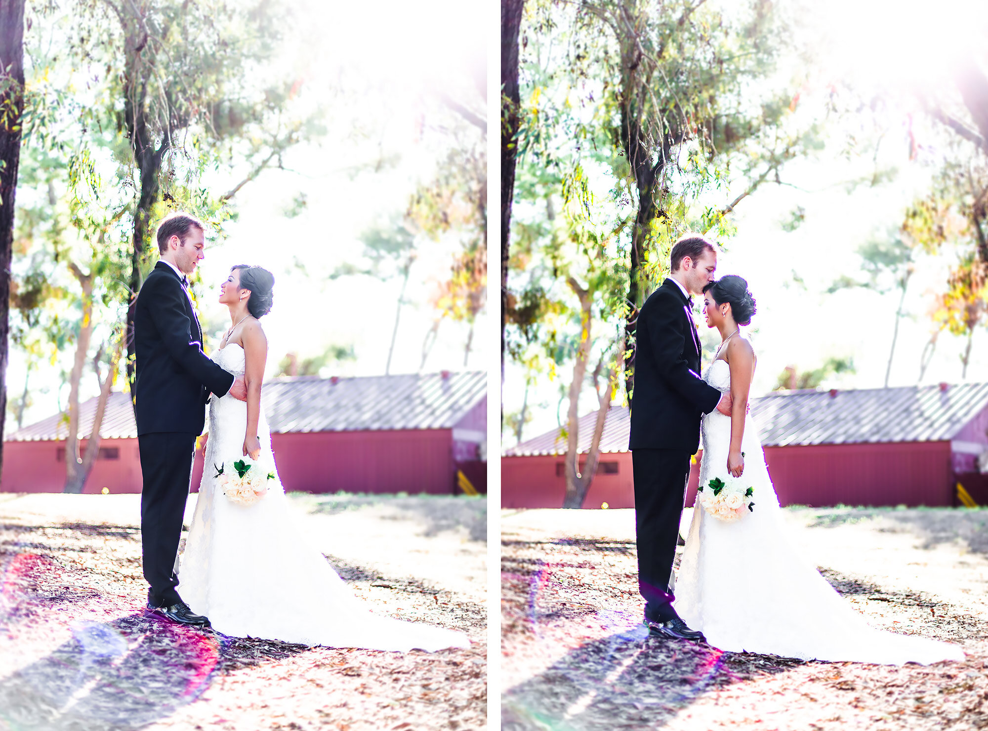 Somerville Wedding Photographer  | Stephen Grant Photography