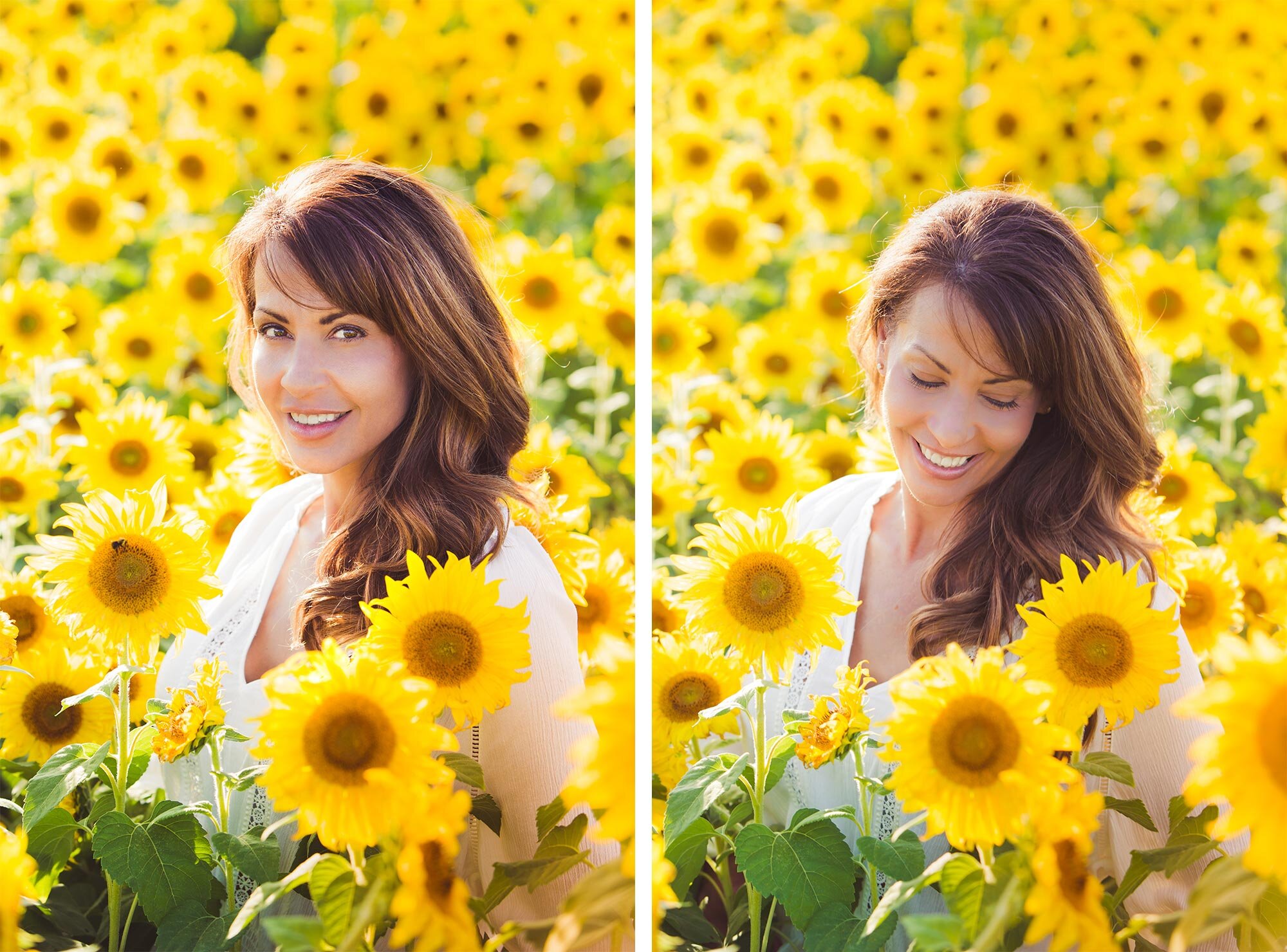 Colby Farm Sunflower Mini Session | Stephen Grant Photography