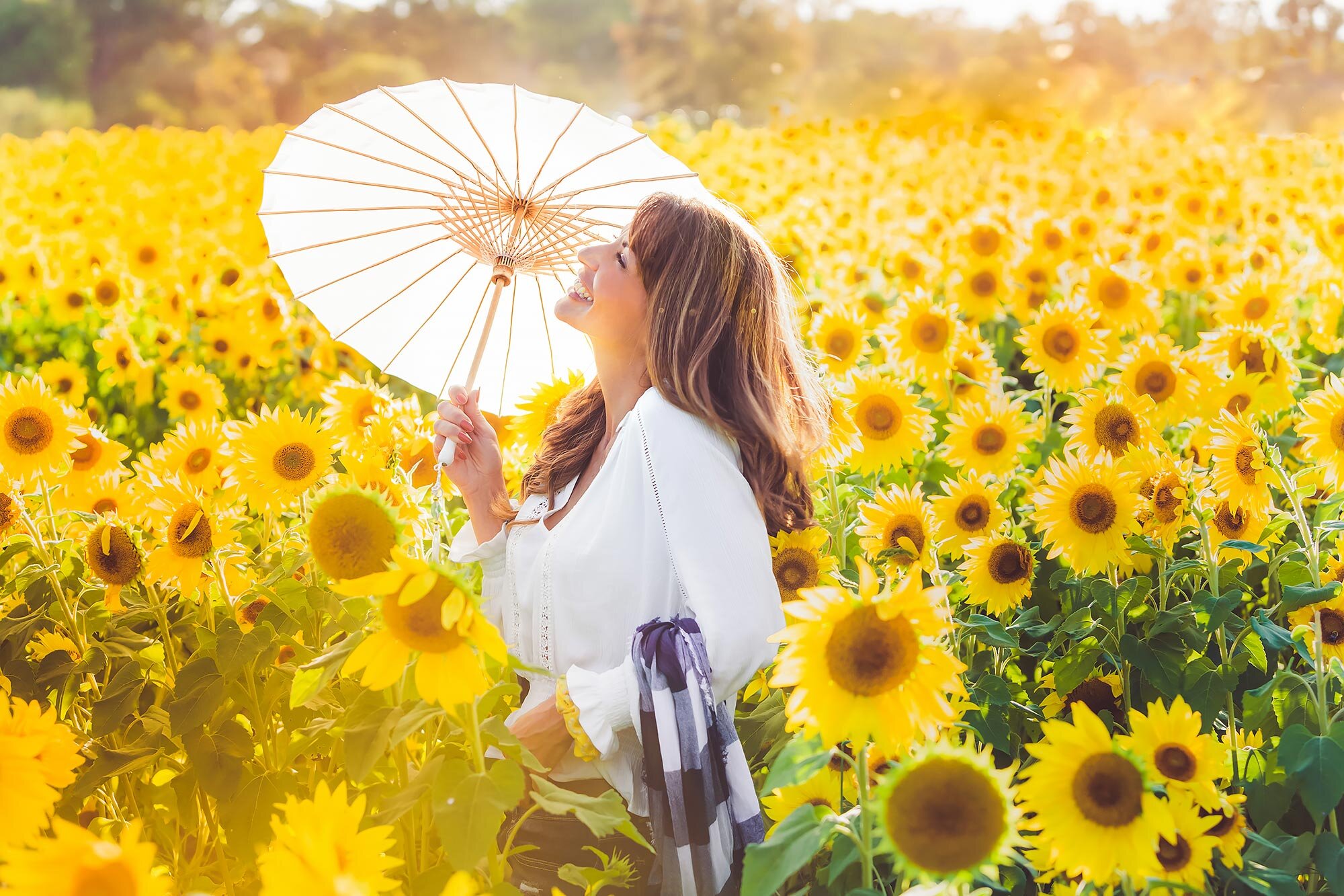 Colby Farm Sunflower Mini Session | Stephen Grant Photography