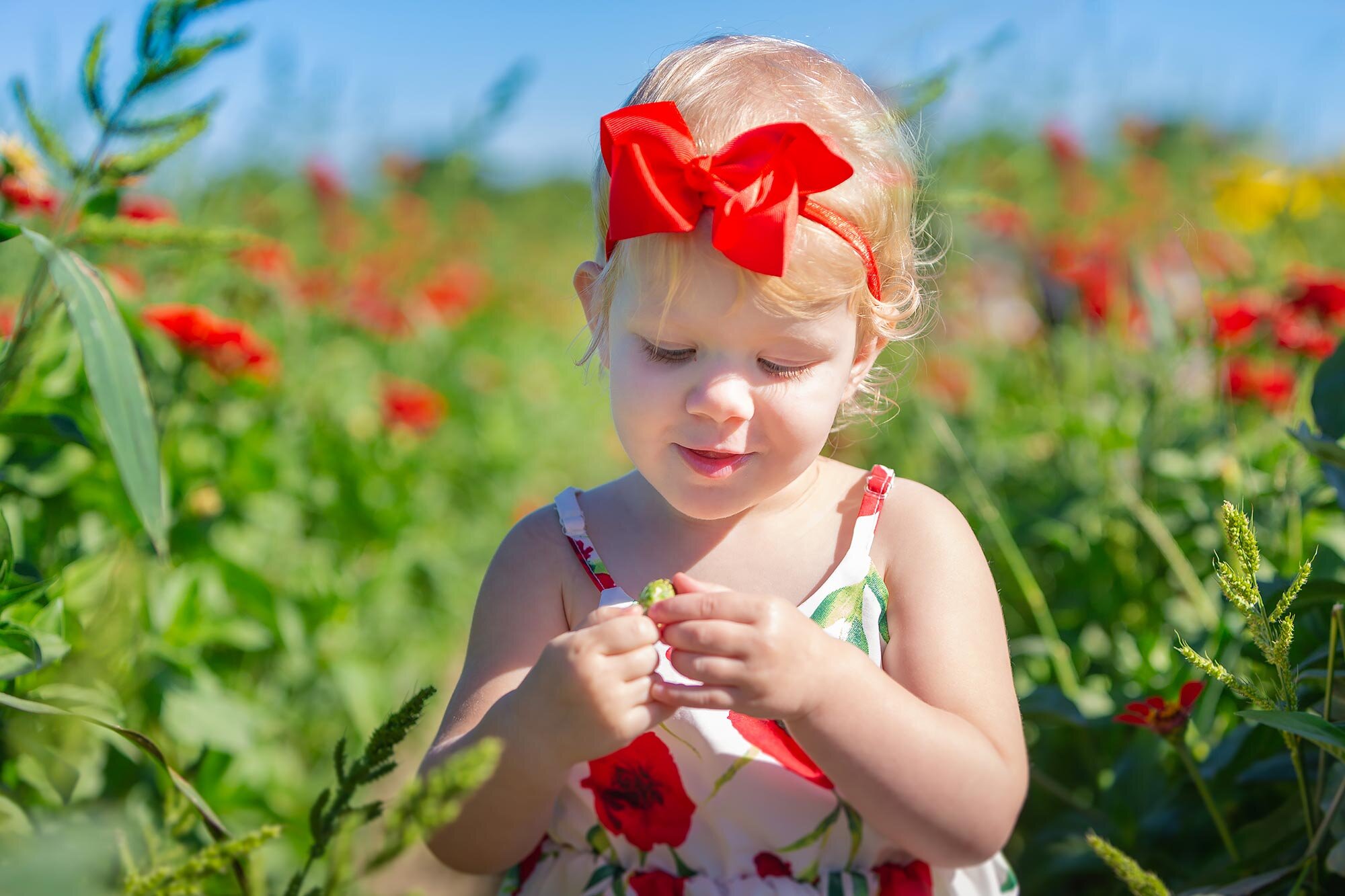 Colby Farm Sunflower Mini Session | Stephen Grant Photography