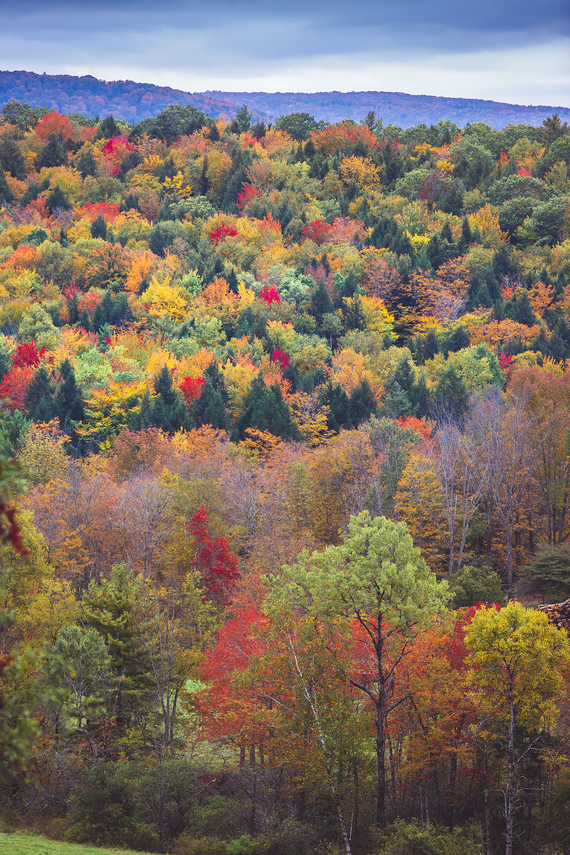 Vermont Fall Foliage | Stephen Grant Photography