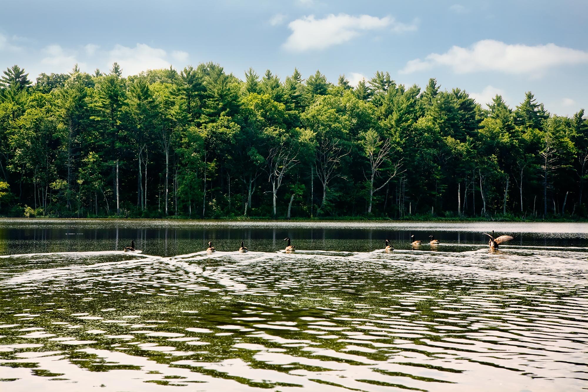 Middlesex School Concord MA | Stephen Grant Photography