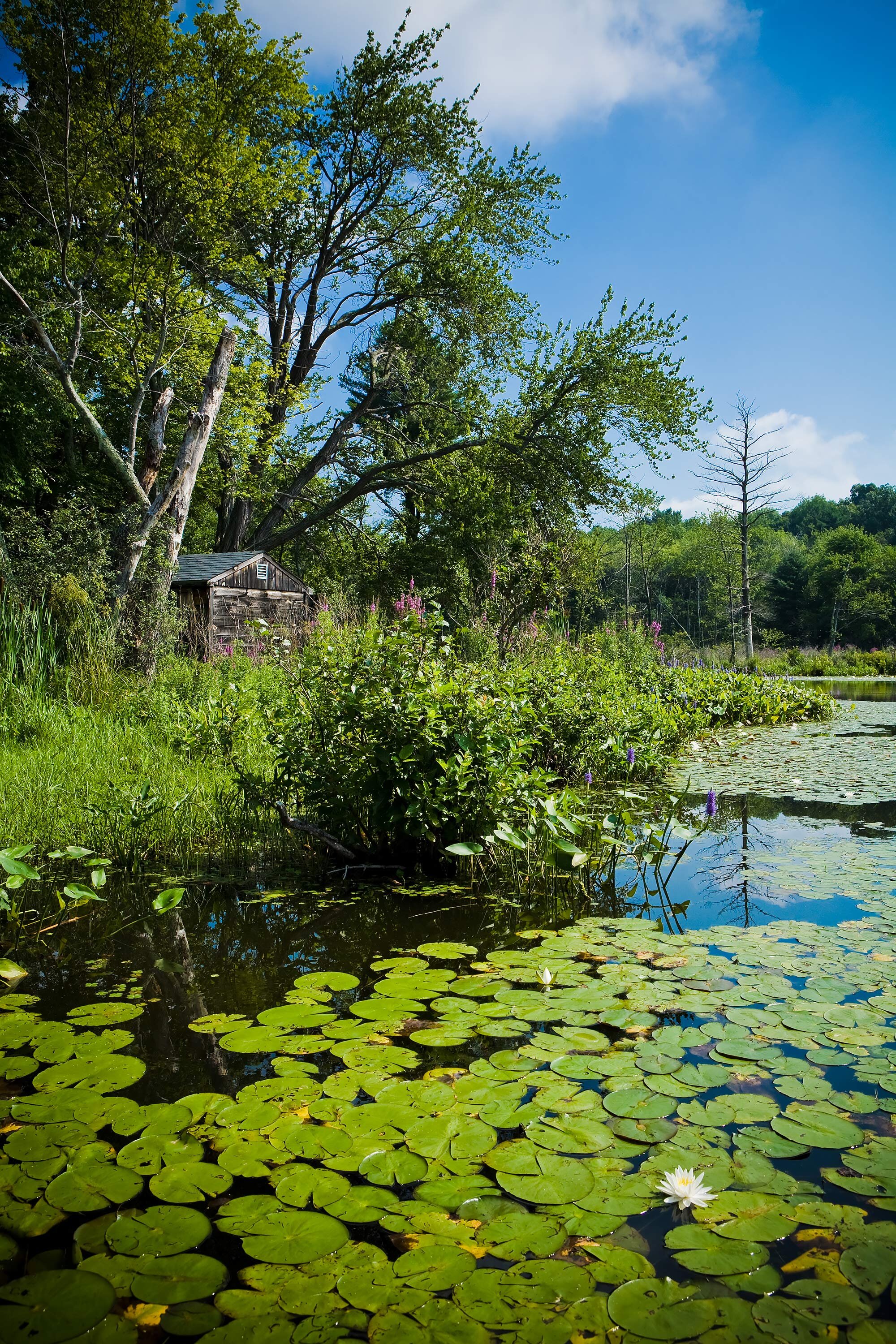 Middlesex School Concord MA | Stephen Grant Photography