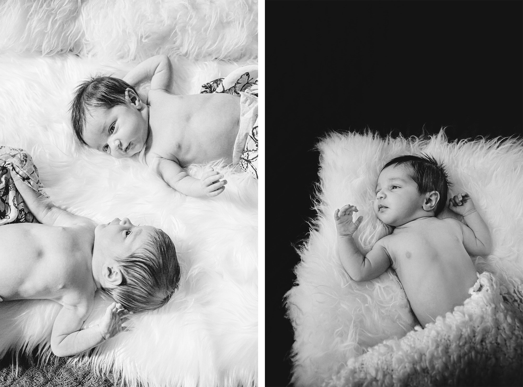 Newburyport Newborn Portrait Photographer | Stephen Grant Photography