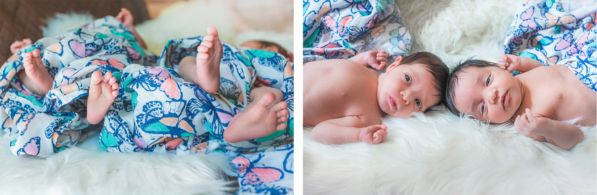Boston Newborn Portrait Photographer | Stephen Grant Photography