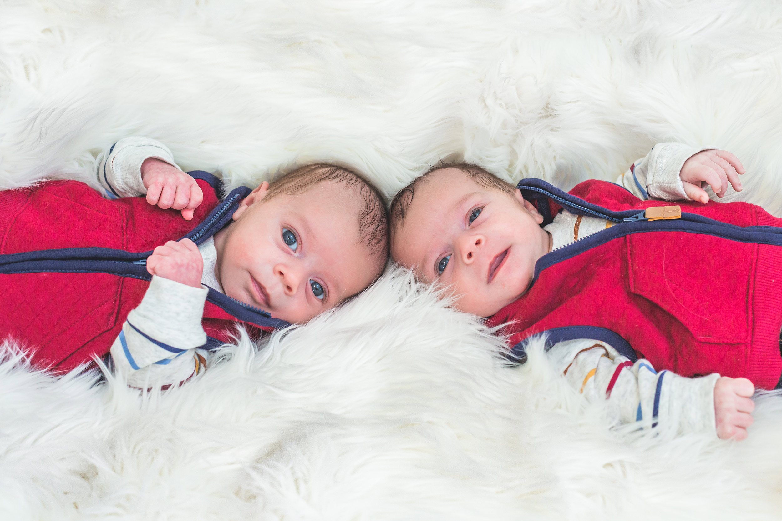 Boston Newborn Family Photographer | Stephen Grant Photography