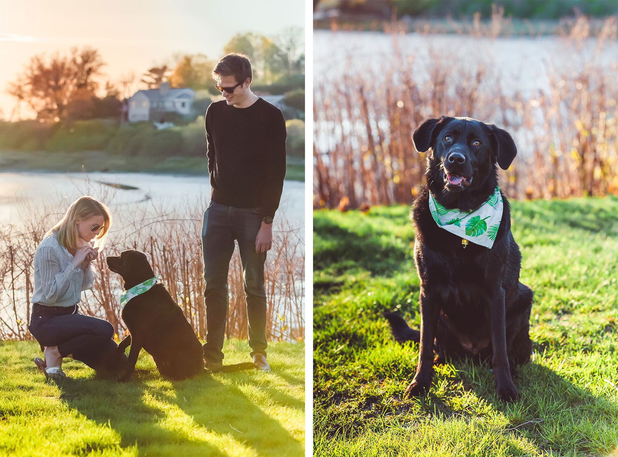 Ipswich Engagement Session | Stephen Grant Photography
