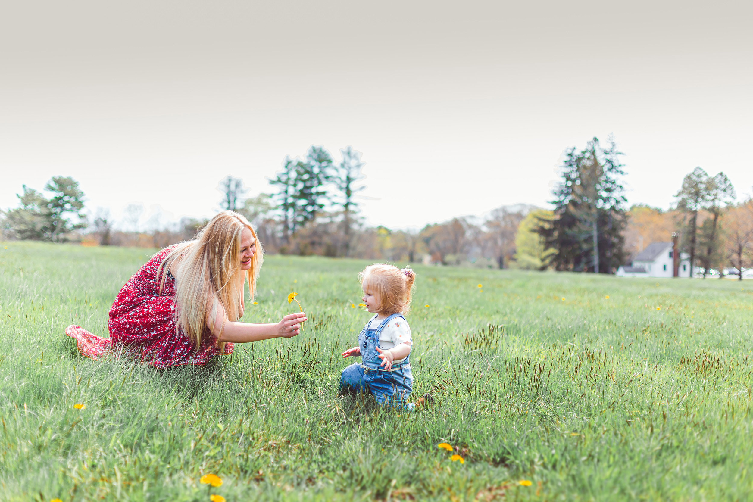 Newburyport Family Portrait Session | Stephen Grant Photography