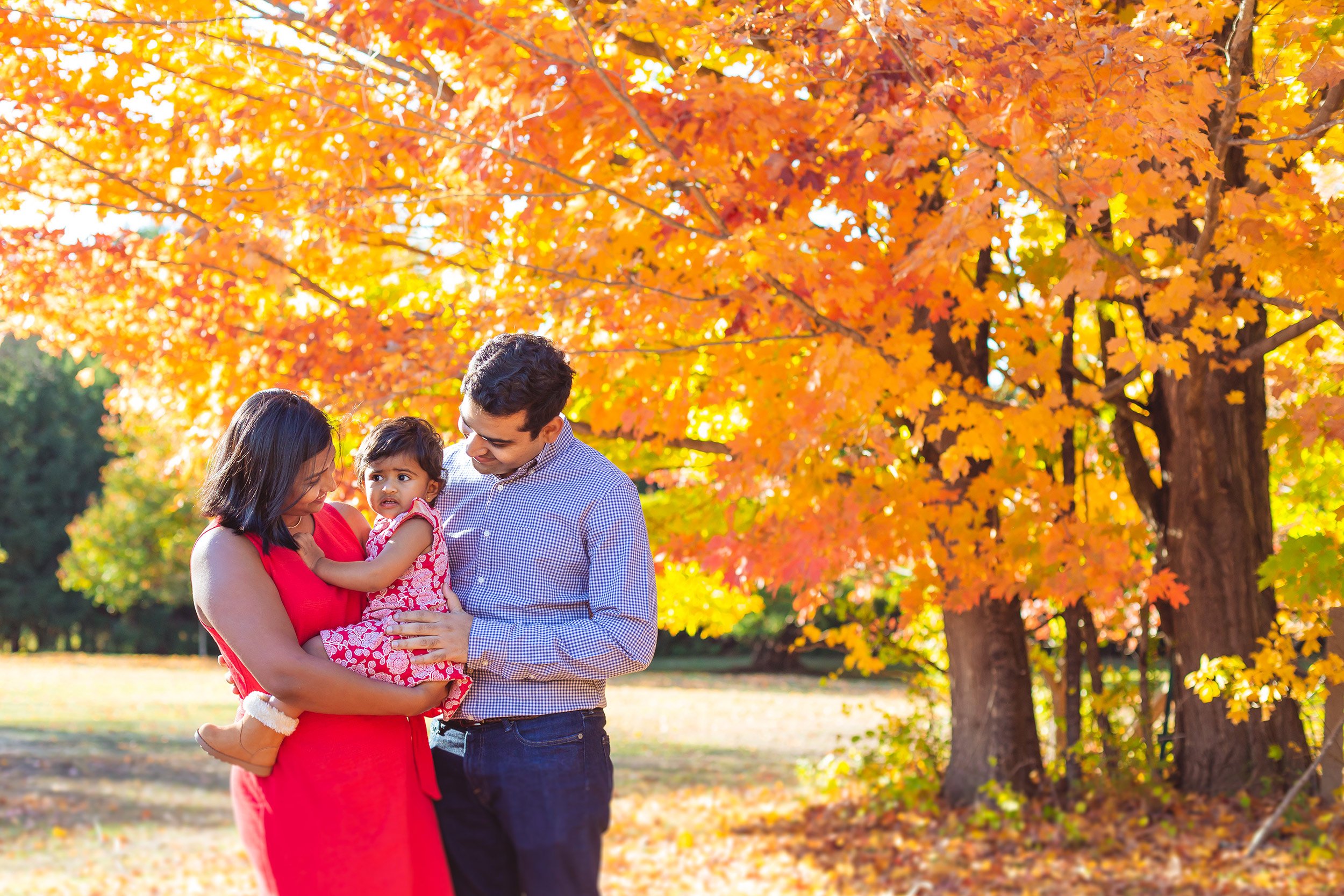 Andover MA  Family Portrait | Stephen Grant Photography