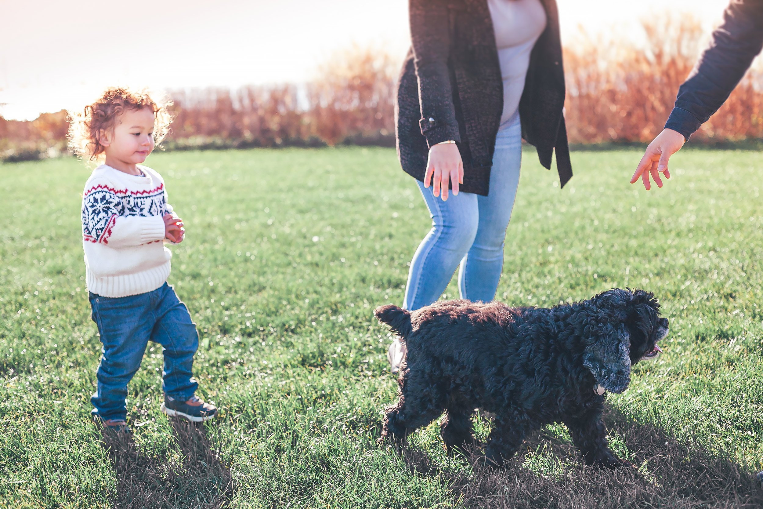 Newburyport Family Photographer | Stephen Grant Photography