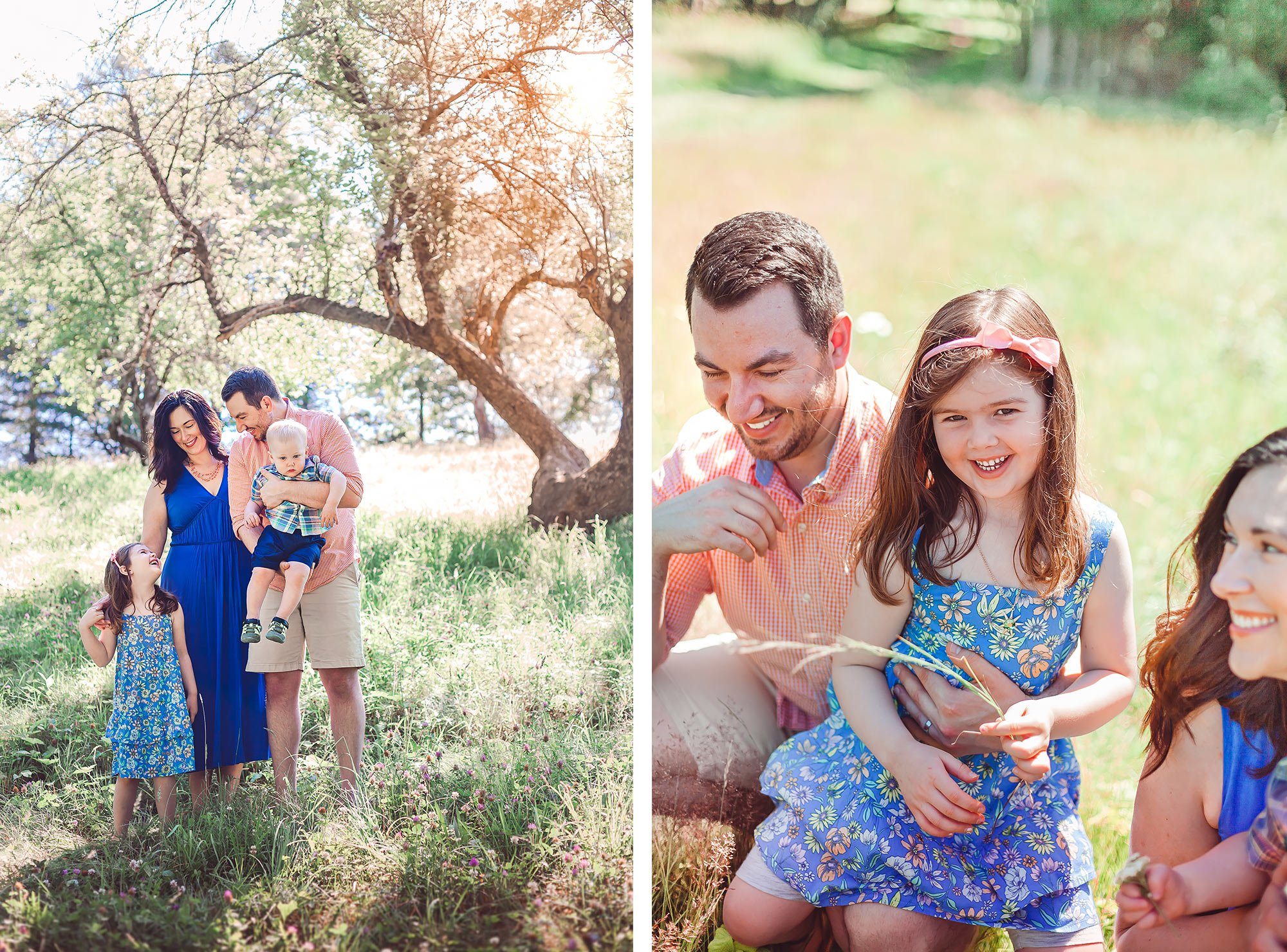 Ward Reservation Family Portrait | Stephen Grant Photography