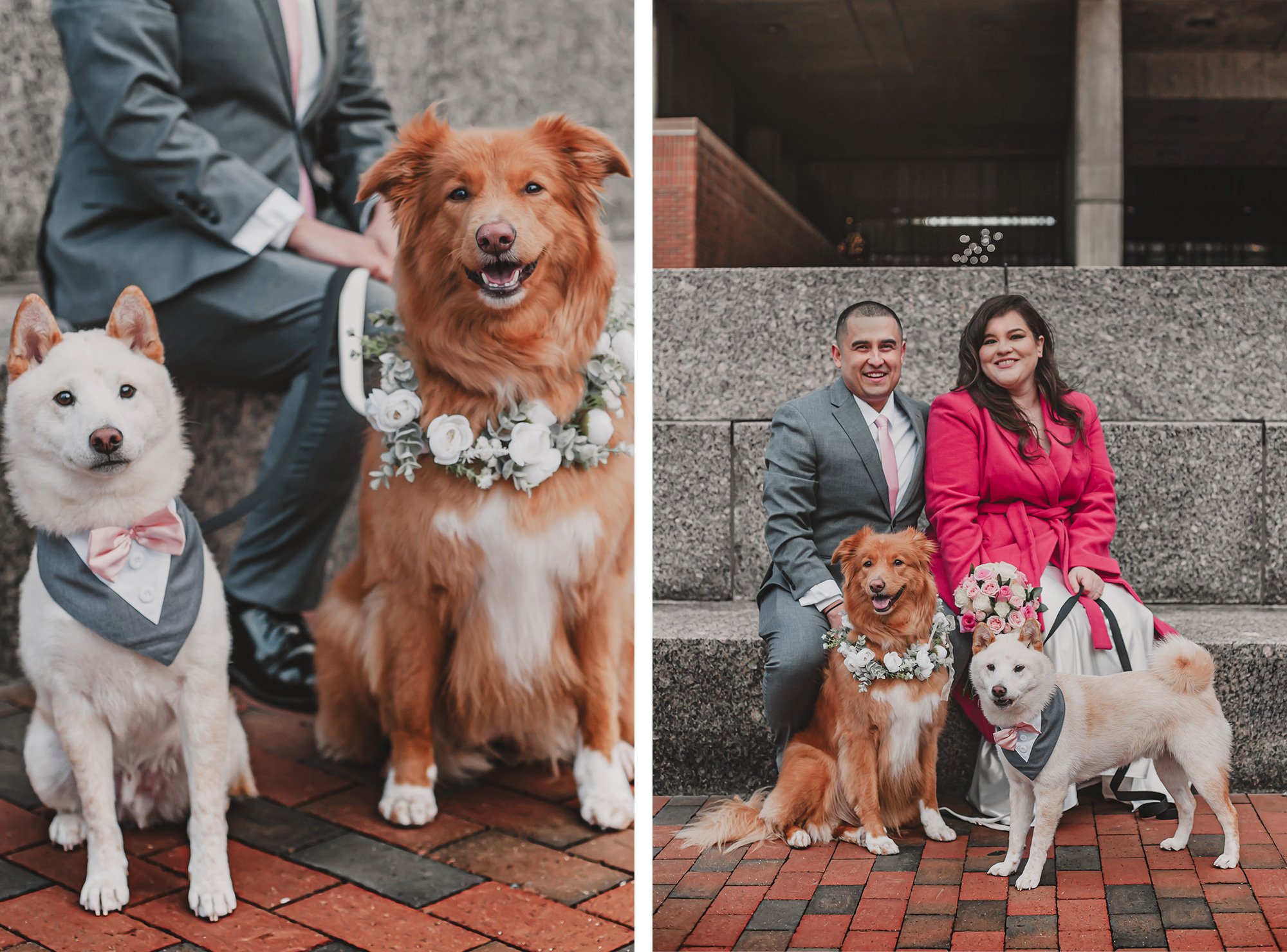 Boston City Hall Civil Ceremony | Stephen Grant Photography