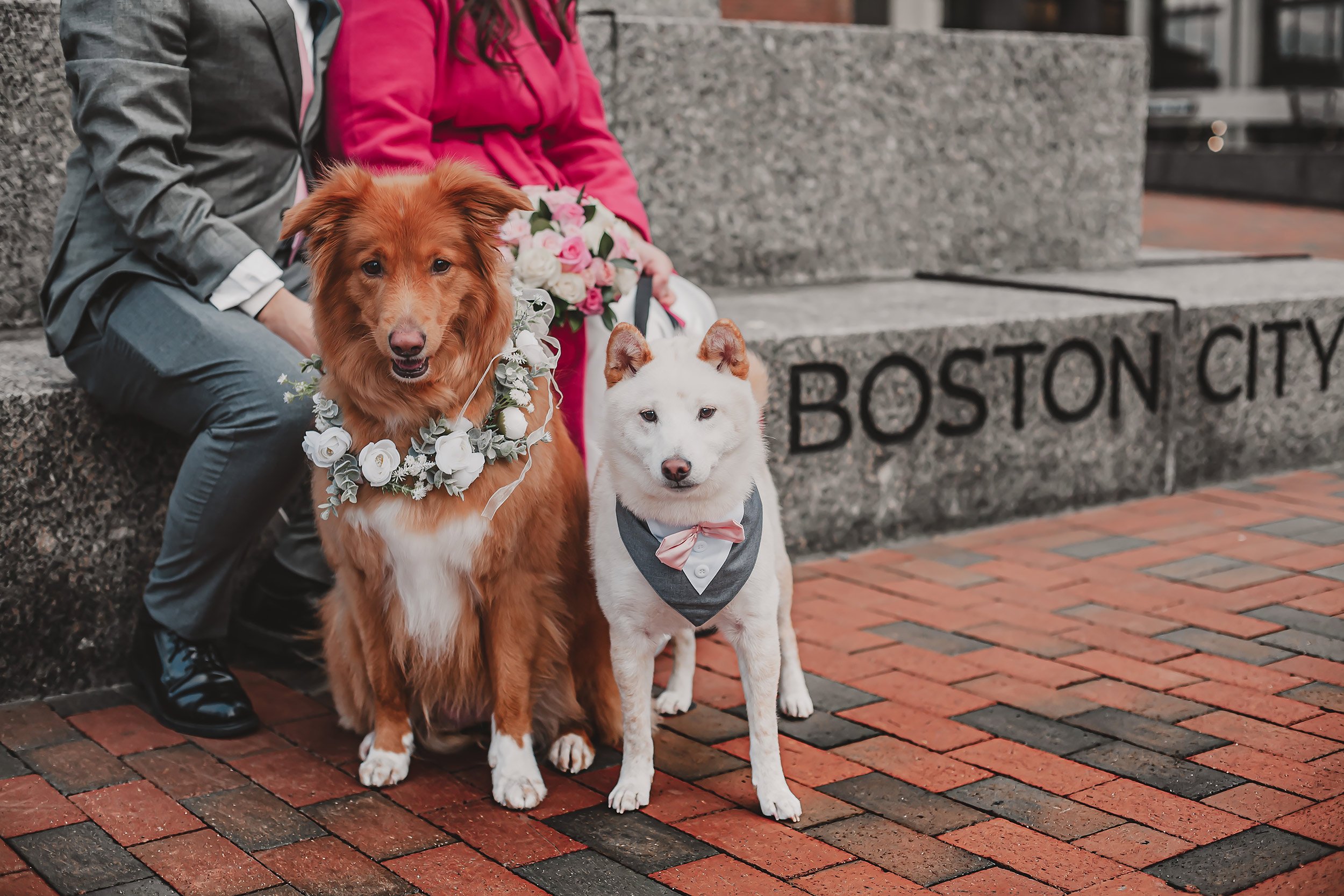 Boston City Hall Marriage | Stephen Grant Photography