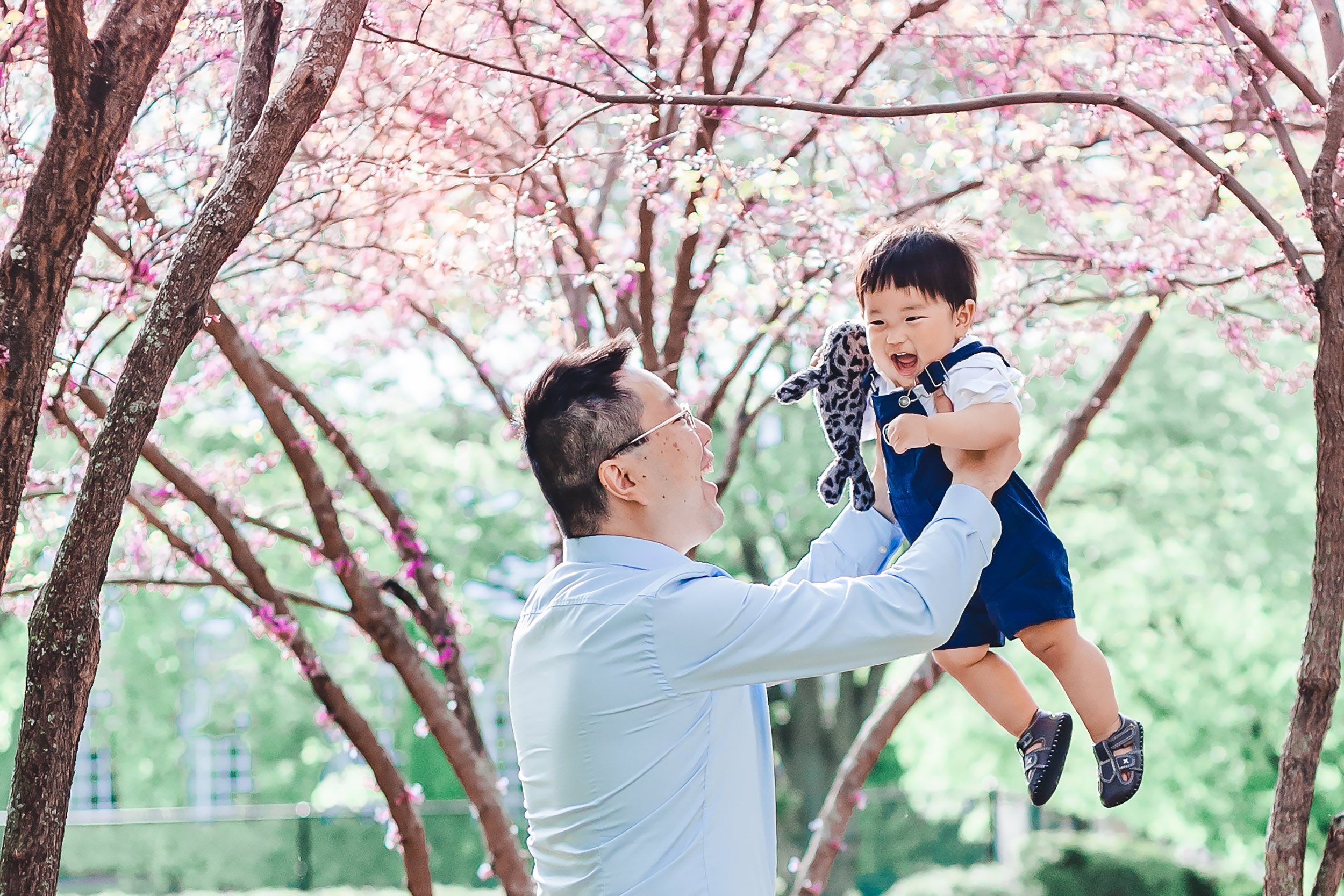 Harvard Campus Family Portraits | Stephen Grant Photography