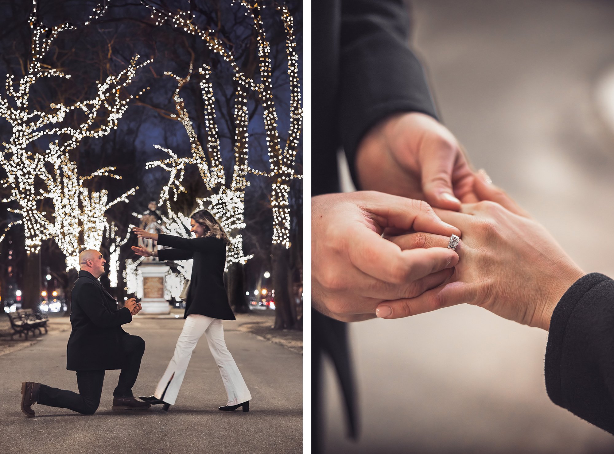 Boston Commonwealth Ave Engagement Proposal  | Stephen Grant Photography