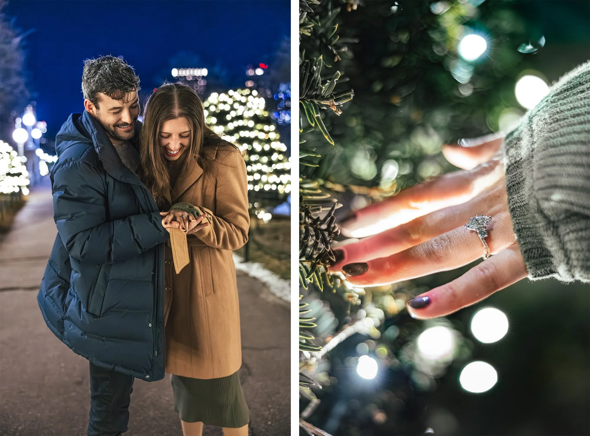 Boston Public Garden Engagement Proposal | Stephen Grant Photography