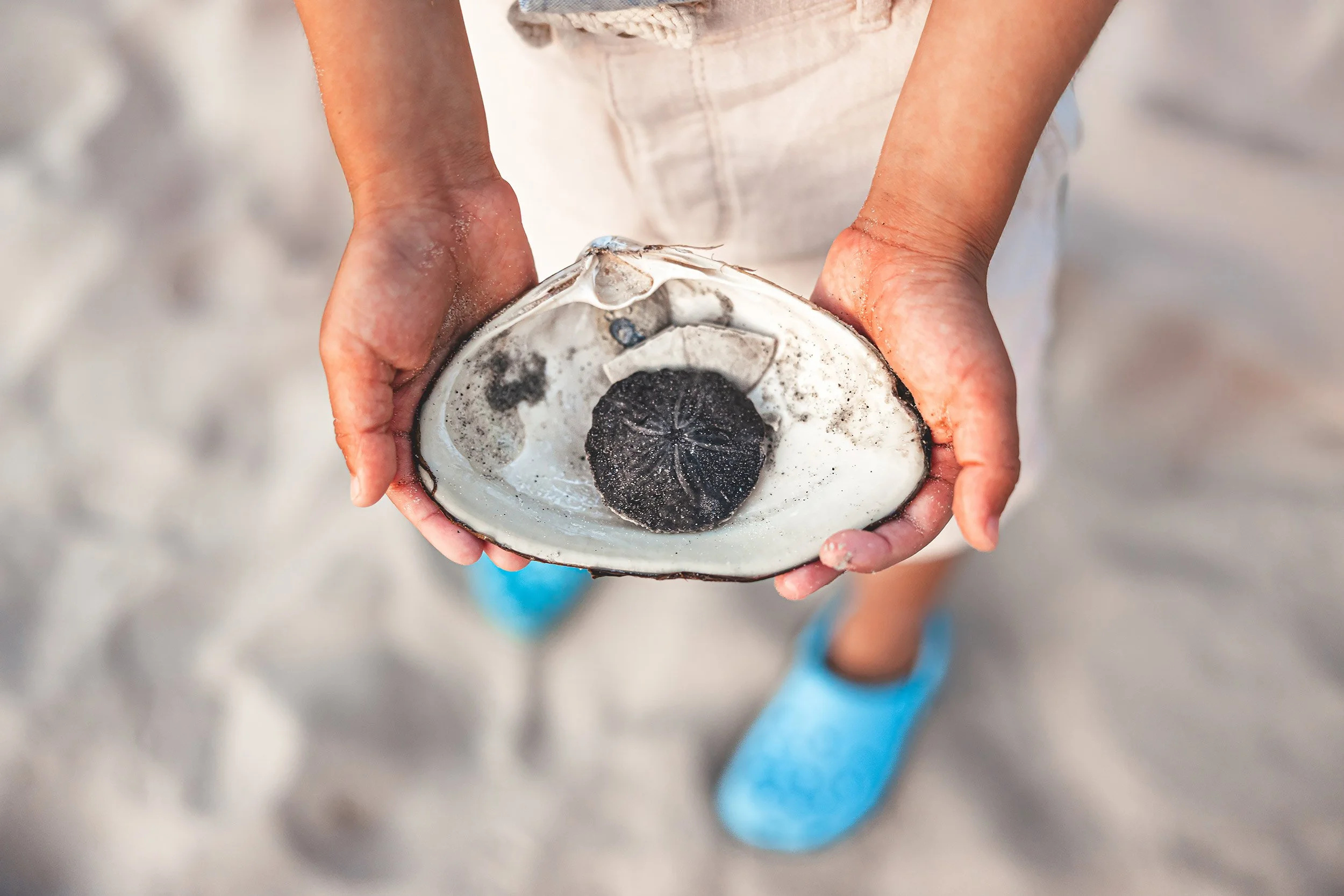 Wingaersheek Family Portrait Session | Stephen Grant Photography