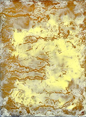orchard001 FW.jpg