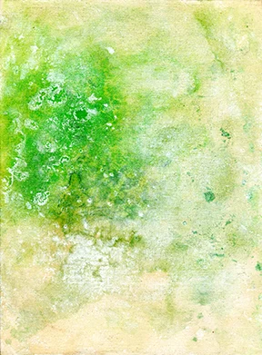 orchard003 FW.jpg