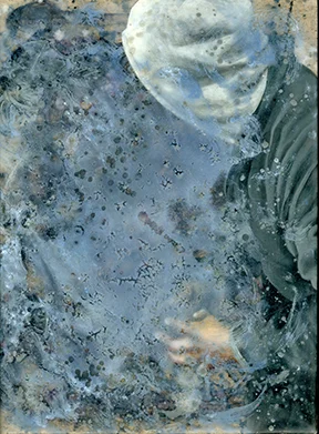orchard014 FW.jpg