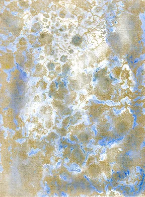 orchard015 FW.jpg
