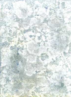 orchard017 FW.jpg