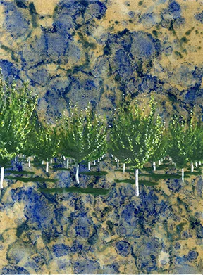 orchard026 FW.jpg