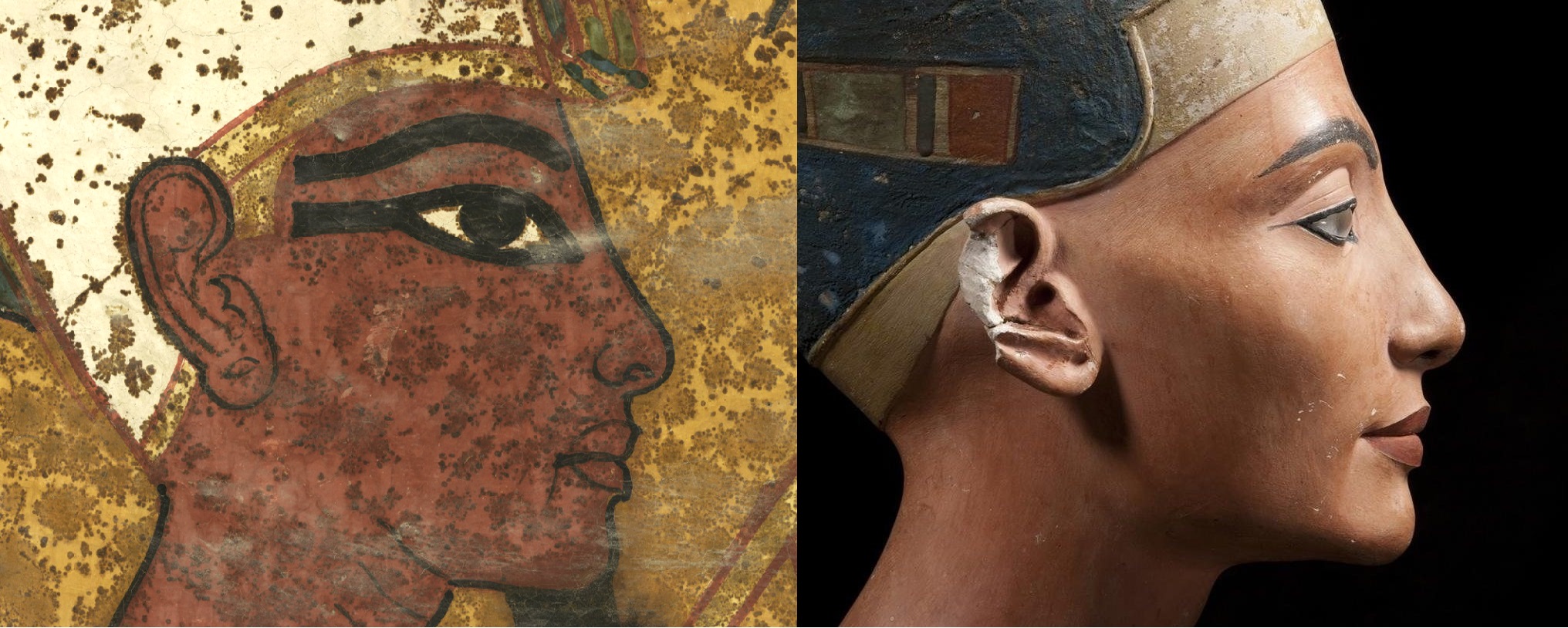 Nicholas Reeves believes that stylistically, the scenes painted on the northern wall of the tomb actually represents Tutankhamun completing the funerary ritual for Queen Nefertiti, his predecessor. Conventional thinking says that the painting shows King Ay doing the rituals for Tutankhamun. Comparing images of 'Tutankhamun', Reeves noticed how the jawline, brow, nose, chin and the distinctive 'oromental groove' running down from the corner of her mouth, unique to Nefertiti, all point to this pharaoh actually being the famous queen.