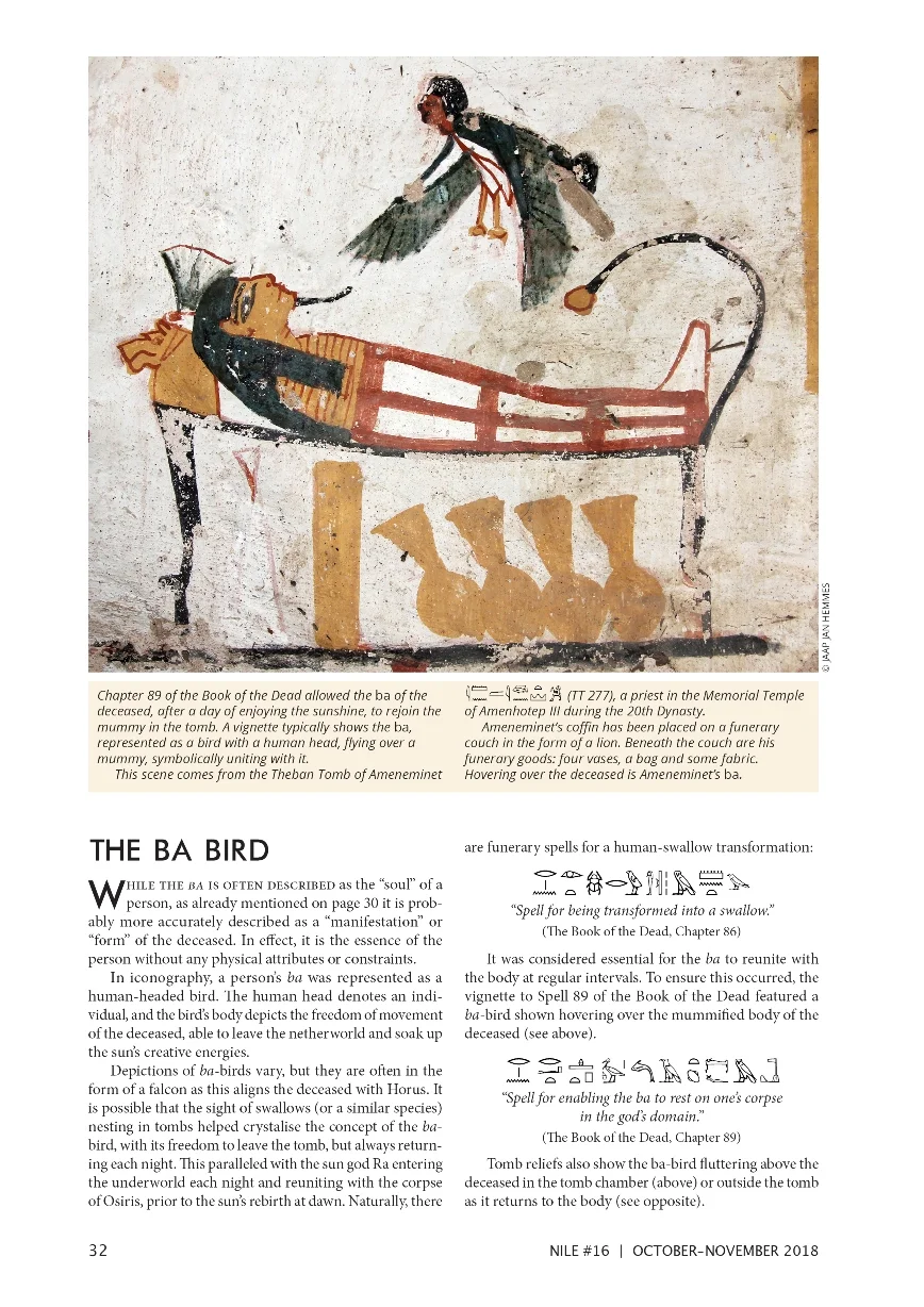Nile 16, Spirit Birds 3B 35%.jpg