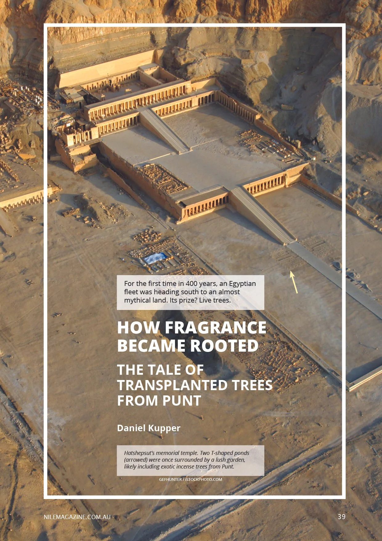 Nile 41, Transplanted Trees 1 1A.jpg