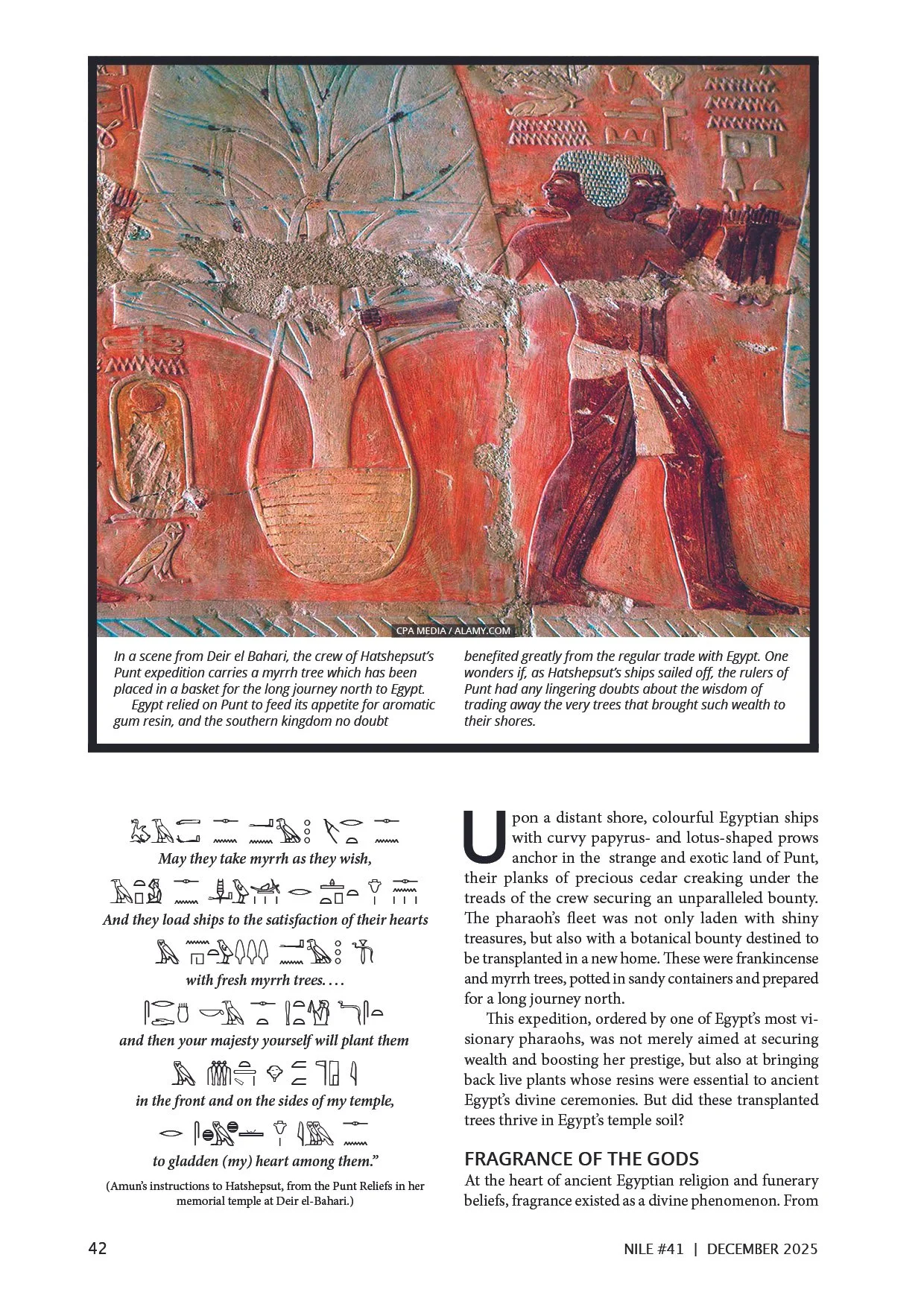 Nile 41, Transplanted Trees 2 1A.jpg