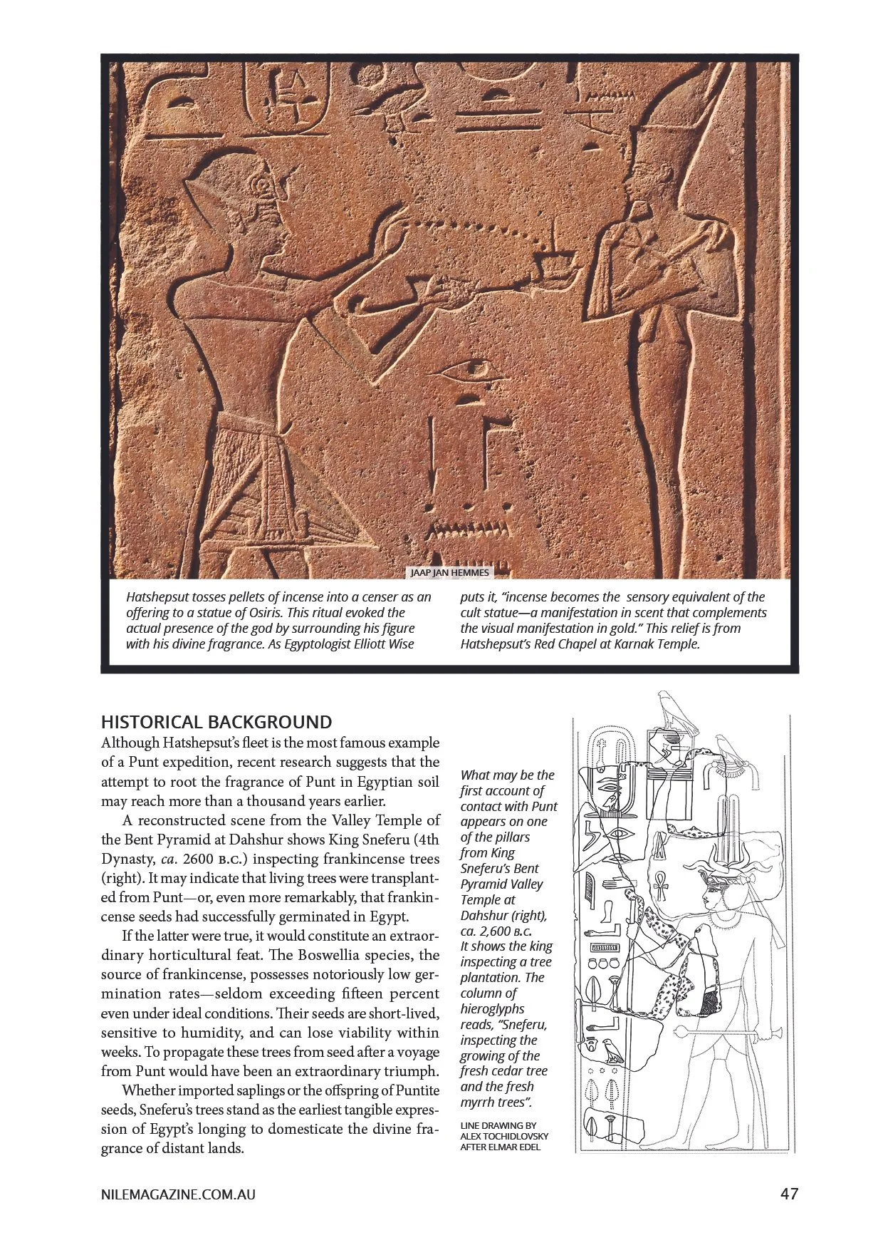 Nile 41, Transplanted Trees 4 1A.jpg