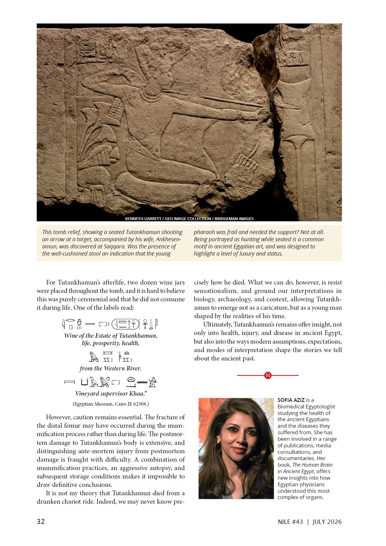 Nile 43, Diagnosing Tutankhamun 4 1A.jpg