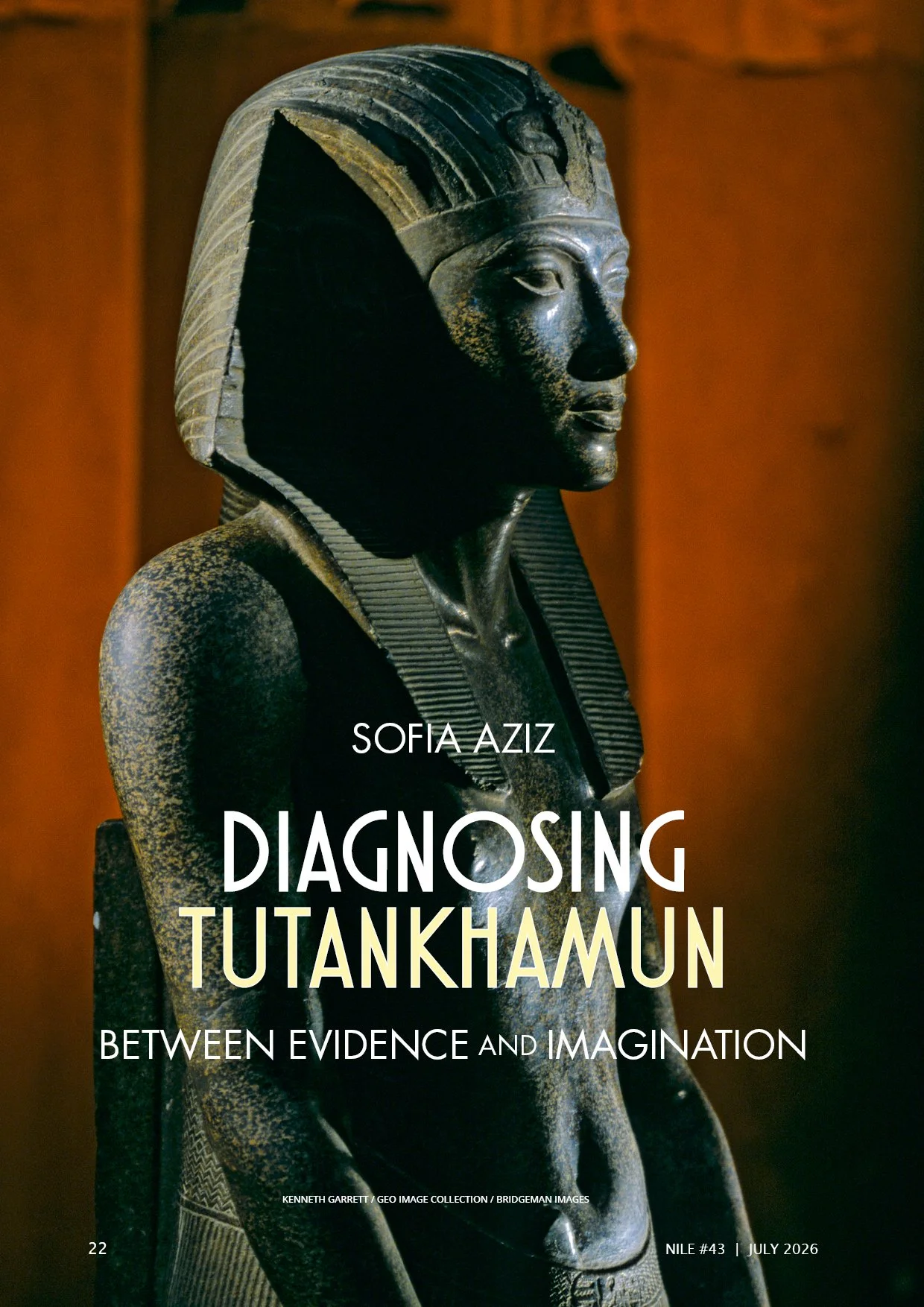 Nile 43, Diagnosing Tutankhamun 1 1A.jpg