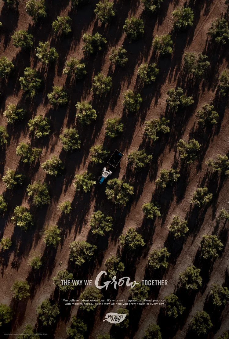 NaturesWay_Office_Posters3.jpg