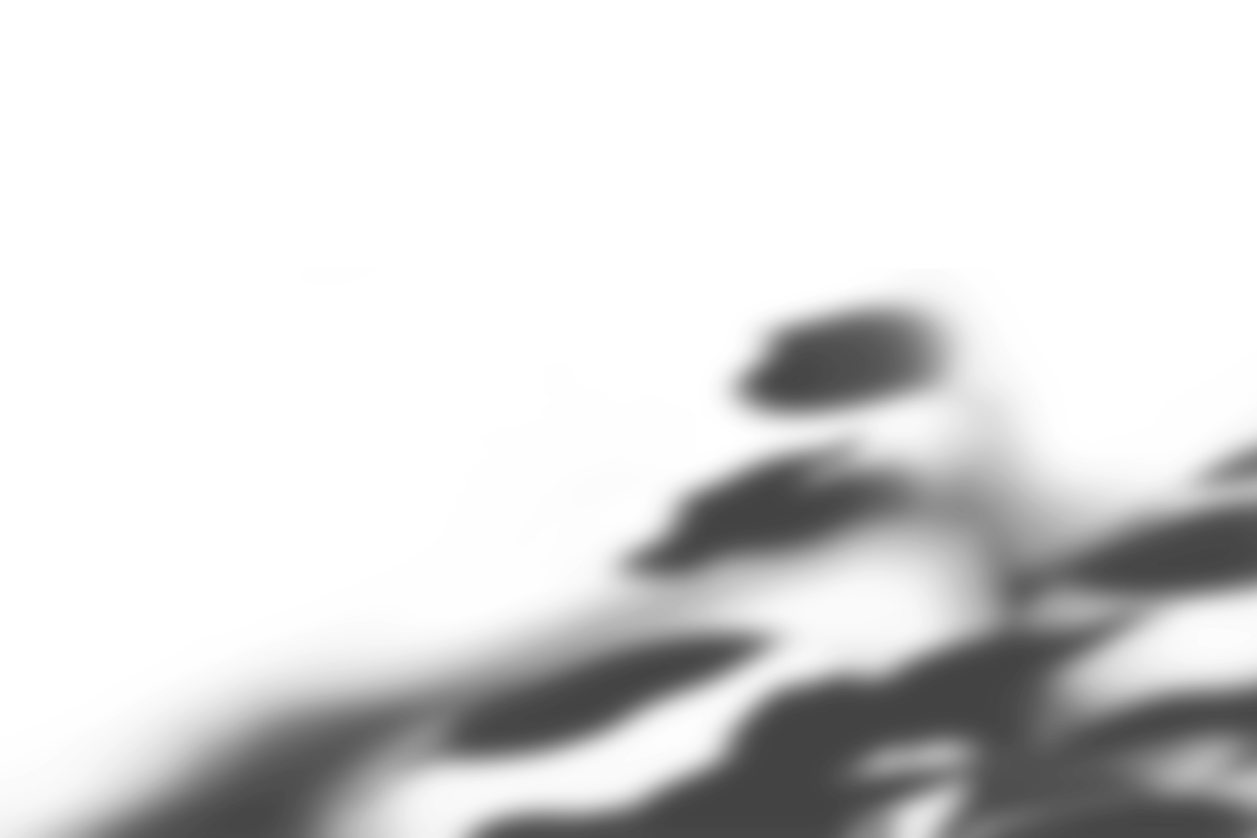 Plant-Shadow-30.webp