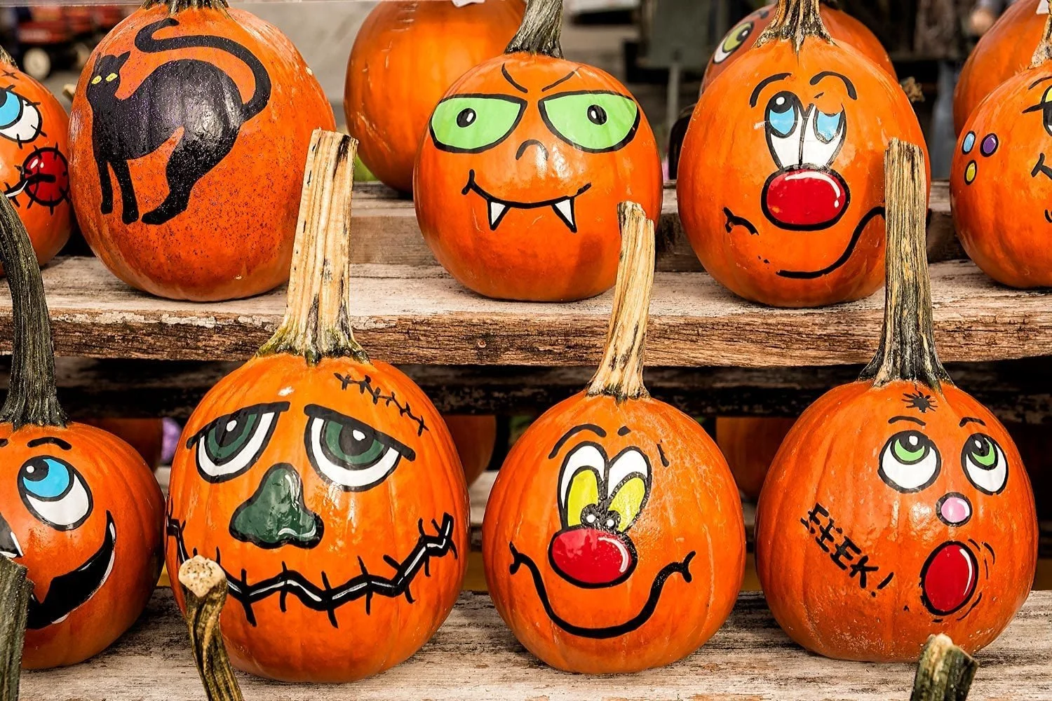 Paint a Pumpkin
