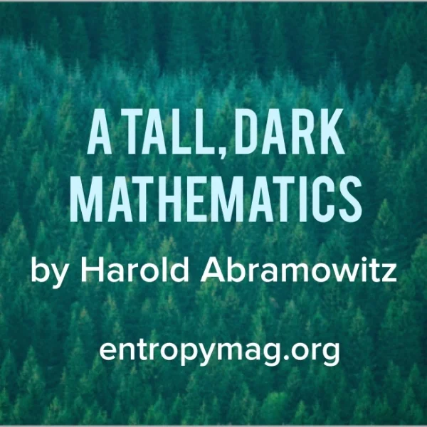 "A TALL, DARK MATHEMATICS" BY HAROLD ABRAMOWITZ