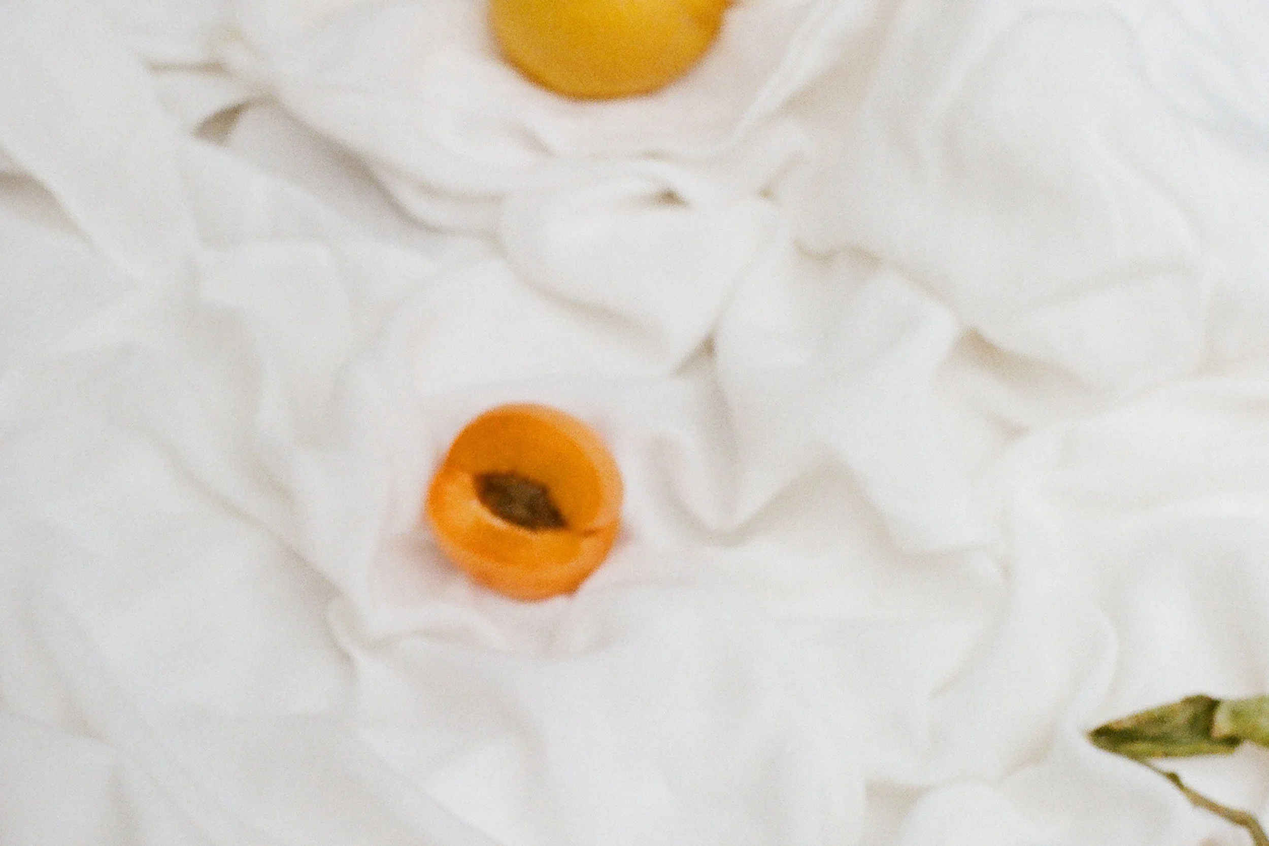 14570020 copy (1).jpg