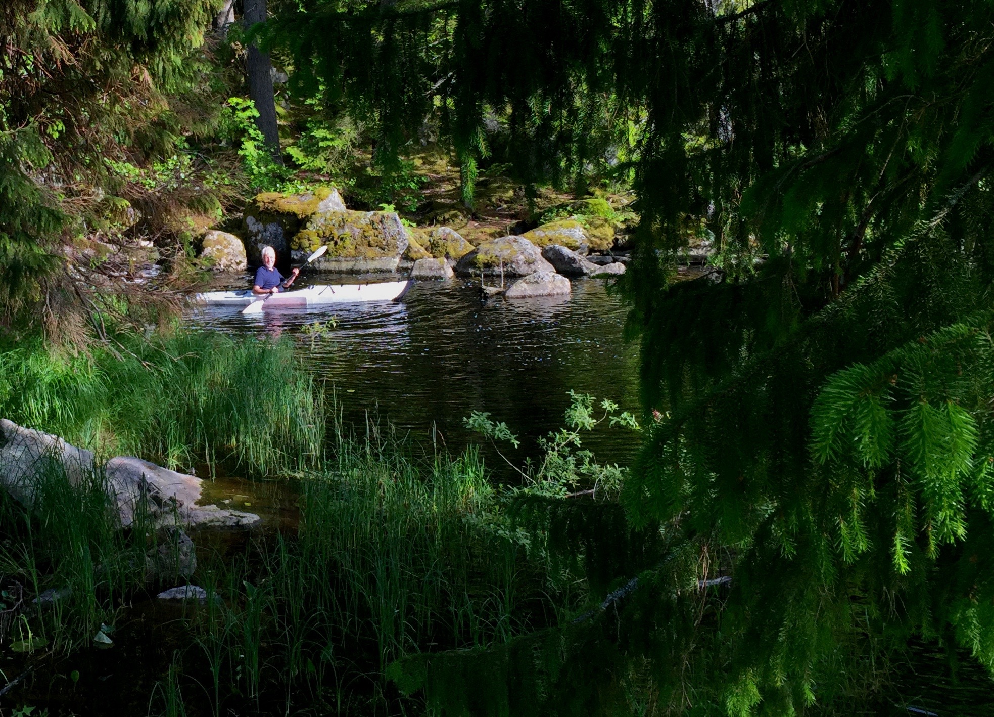  Jan at one of Lake Ölens water sources - Värmland, Sweden. 