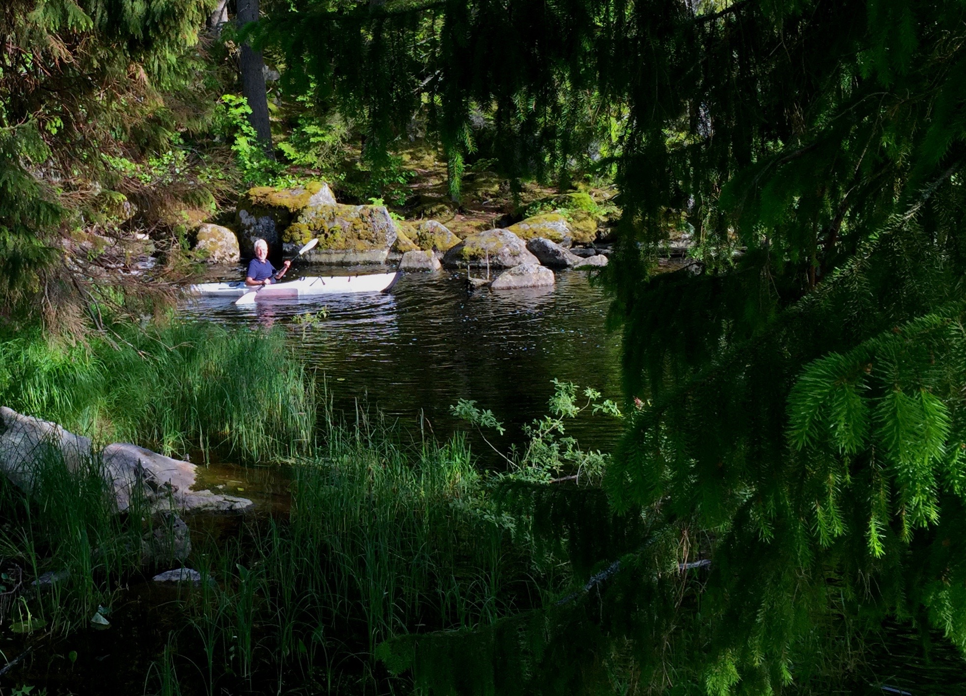 Jan at one of Lake Ölens water sources - Värmland, Sweden.