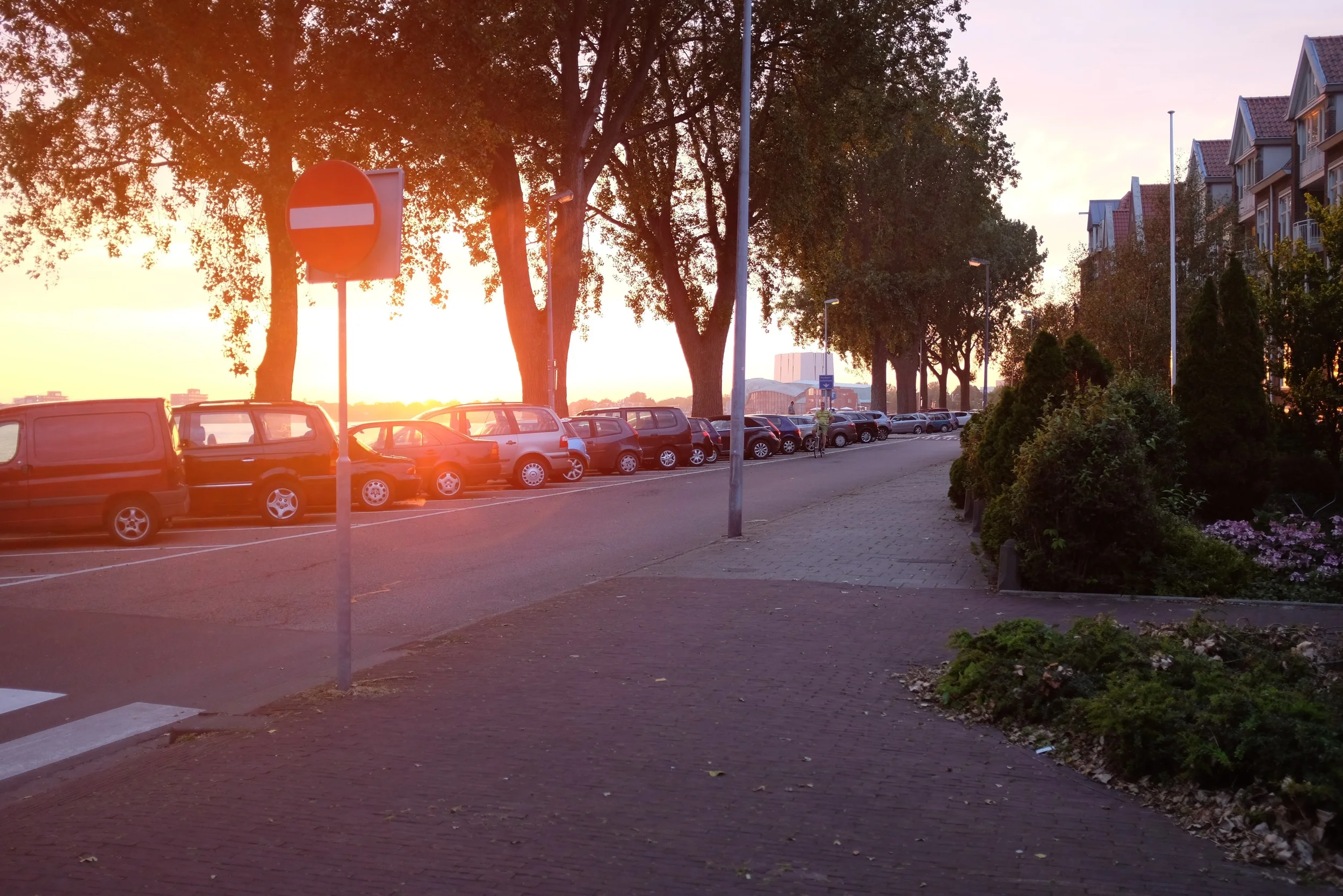 DSCF1976.jpg