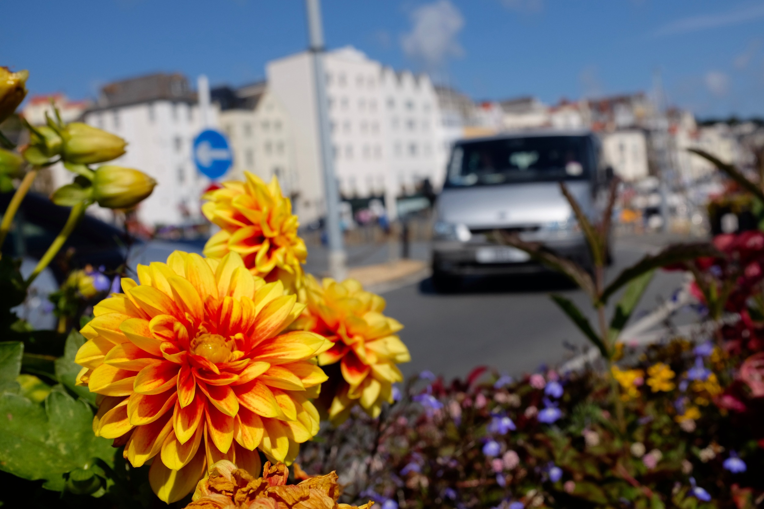 DSCF3193.jpg