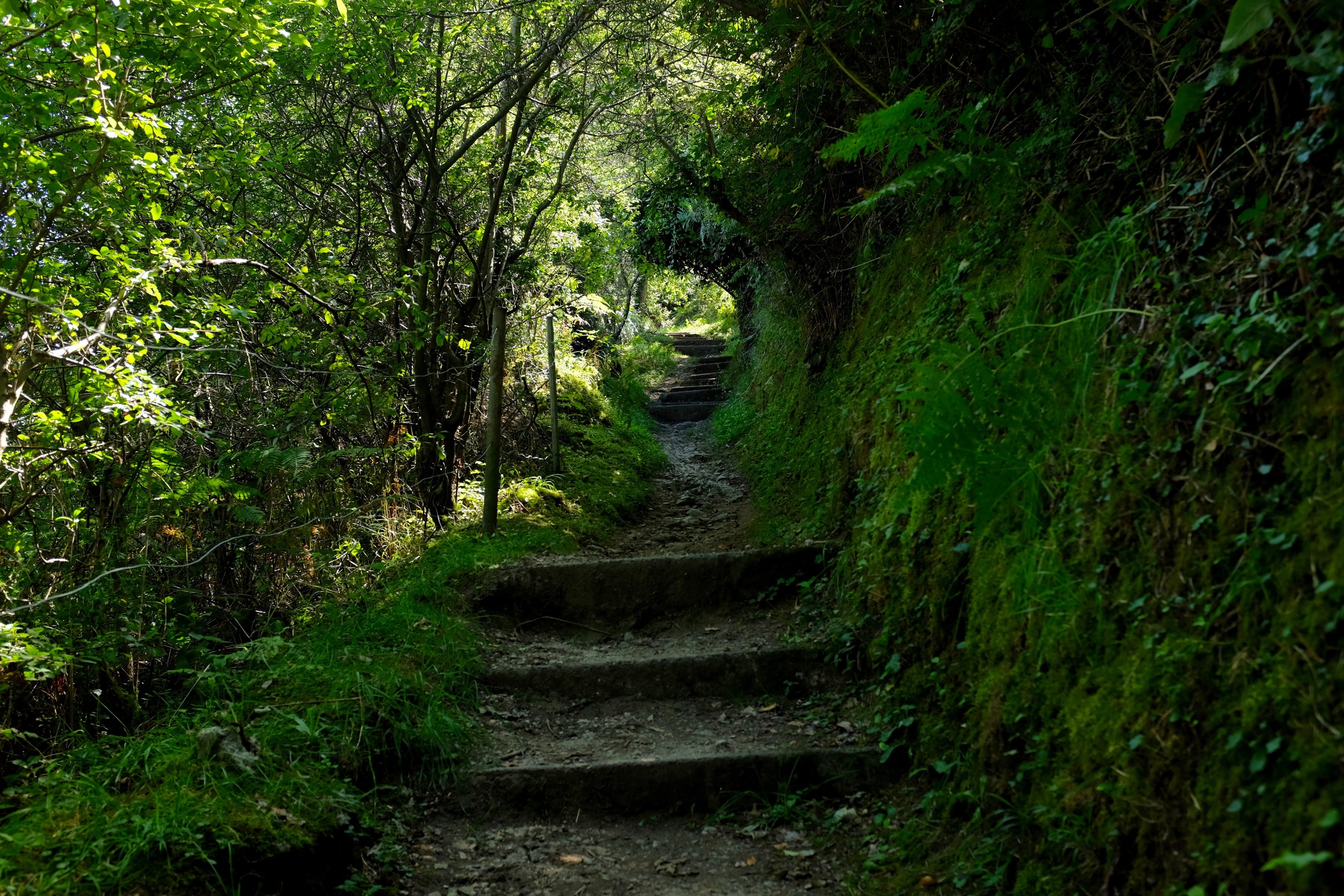 DSCF3262.jpg